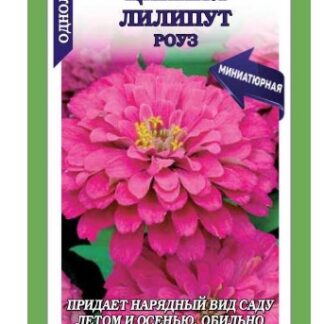 Цинния Лилипут Роуз