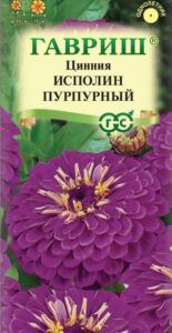 Цинния Исполин пурпурный