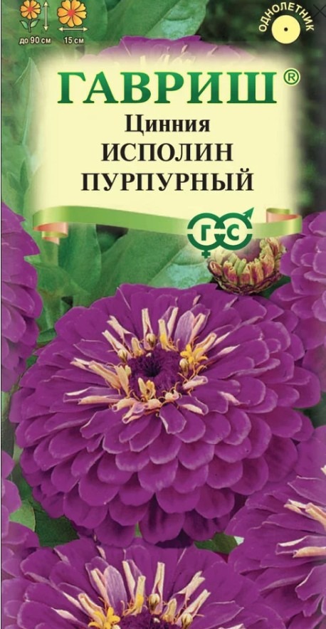 Цинния Исполин пурпурный