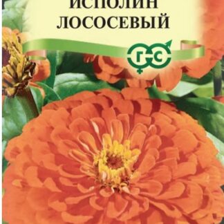 Цинния Исполин лососевый