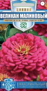 Цинния Великан малиновый