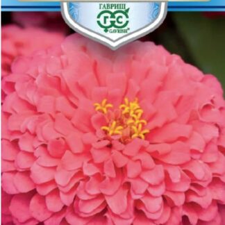 Цинния Великан розовый