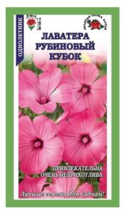 Лаватера Рубиновый Кубок
