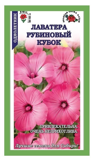 Лаватера Рубиновый Кубок