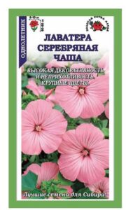 Лаватера Серебряная чаша