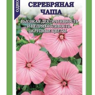 Лаватера Серебряная чаша