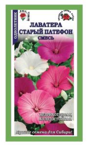 Лаватера Старый Патефон