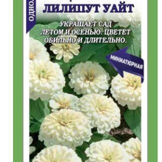 Цинния Лилипут Уайт