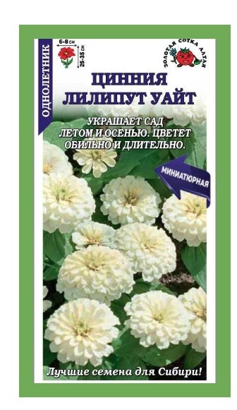 Цинния Лилипут Уайт