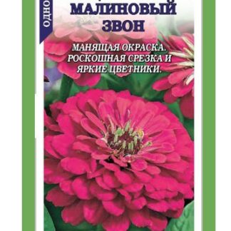 Цинния Малиновый звон