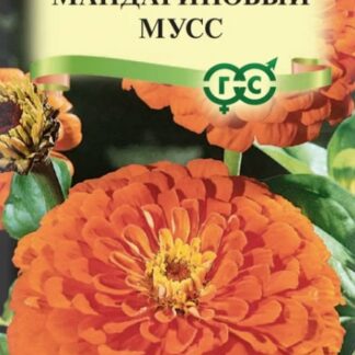 Цинния Мандариновый мусс