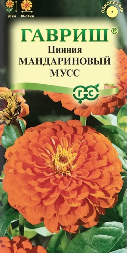 Цинния Мандариновый мусс