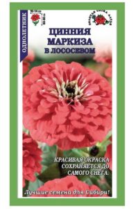 Цинния Маркиза в Лососевом