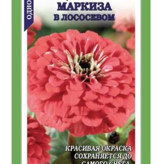 Цинния Маркиза в Лососевом