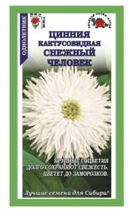 Цинния Снежный человек