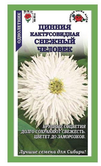 Цинния Снежный человек
