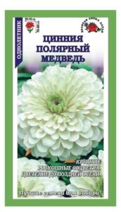 Цинния Полярный Медведь ЗСА