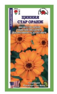 Цинния Стар Оранж