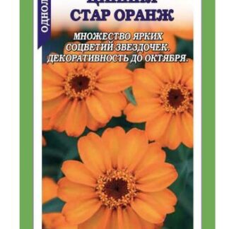 Цинния Стар Оранж