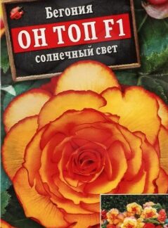 Бегония Он Топ F1 солнечный свет