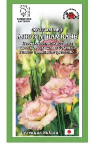 Эустома Алисса Шампань /Сотка