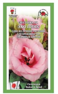 Эустома Эхо Пинк F1