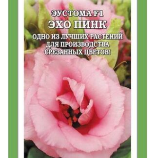 Эустома Эхо Пинк F1