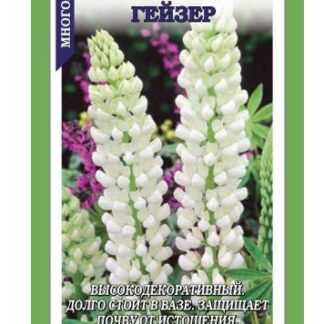 Люпин Гейзер /Сотка