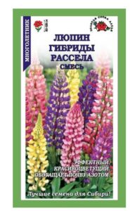 Люпин Гибриды Рассела /Сотка