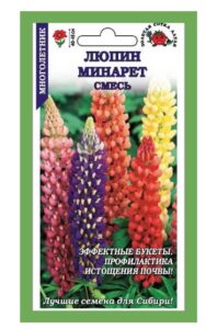 Люпин Минарет /Сотка