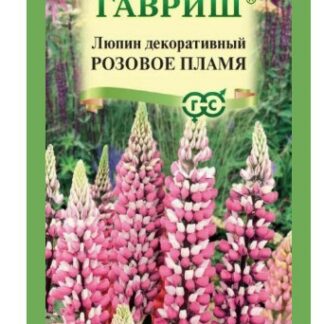 Люпин Розовое пламя /Гавриш