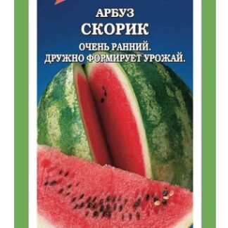 Арбуз Скорик /Сотка
