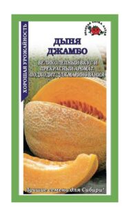 Дыня Джамбо