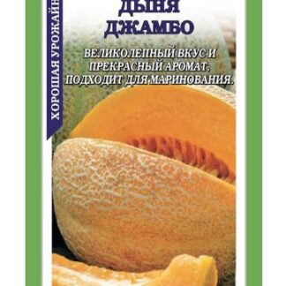 Дыня Джамбо