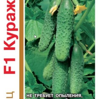Огурец Кураж F1, 20шт, Гавриш