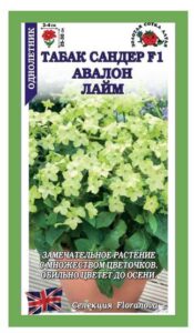 Табак Сандер Авалон Лайм