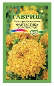 Бархатцы Фантастика золотистая