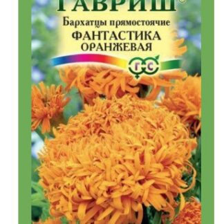Бархатцы Фантастика оранжевая