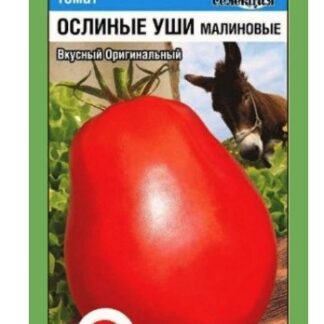 Томат Ослиные Уши МАЛИНОВЫЕ