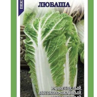 Капуста пекинская Любаша