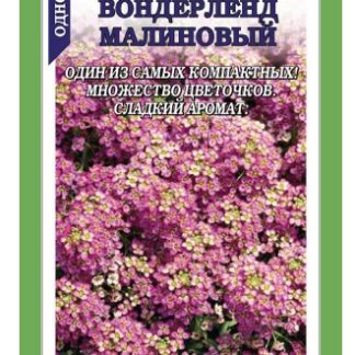 Алиссум Вондерленд малиновый
