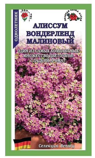 Алиссум Вондерленд малиновый