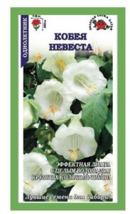 Кобея Невеста, белая