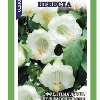 Кобея Невеста, белая