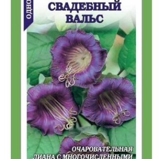 Кобея Свадебный Вальс