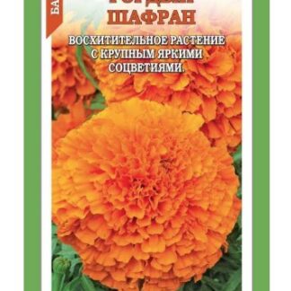 Бархатцы Гордый Шафран