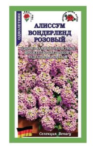 Алиссум Вондерленд розовый
