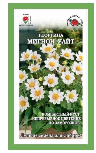 Георгина Мигнон Уайт