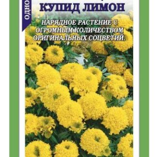 Бархатцы Купид Лимон