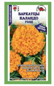 Бархатцы Каландо Голд